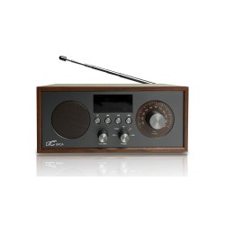Prenosné rádio LTC BRDA s indukčnou nabíjačkou hnedo-grafitové – rádio