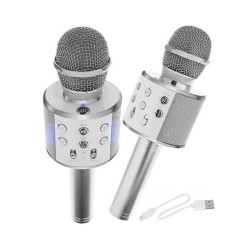 Mikrofón karaoke WS-858 strieborný – dva mikrofóny s káblom